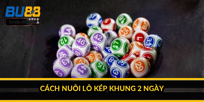 Nuôi lô kép khung 2 ngày: cách chơi và sự thật về "bất bại" 2 Cách nuôi lô kép khung 2 ngày